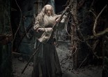 The Hobbit: The Desolation of Smaug, Ian McKellan